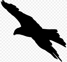 Bird Flight Bird Flight Bald Eagle Silhouette Png 800x750px Bird Arm Bald Eagle Beak Bird Flight All png & cliparts images on nicepng are best quality. bird flight bird flight bald eagle