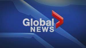 We did not find results for: Global News At 5 Global News