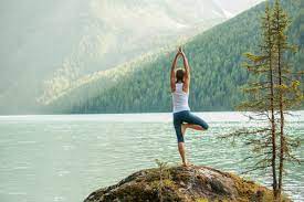 Check spelling or type a new query. The 10 Best Yoga Certifications In The World Sports Management Degree Hub