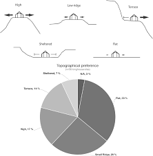 Networked Landscapes Five Architecture Society And