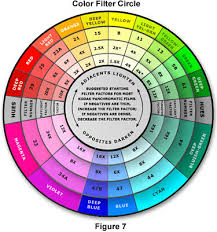 Photomicrography Filters For Black And White