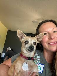 Who wants to adopt dogs from humane society?