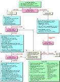 Image result