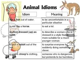 30 Amazing Animal Idioms In English With Their Meanings Eslbuzz Learning English Idioms English Idioms Learn English