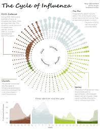 The Cycle Of Influenza Creating A Radial Time Series Chart