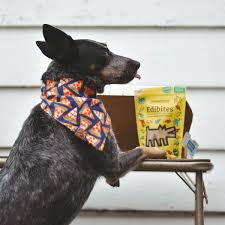 These supplements do not contain any wheat, corn, dairy, or soy products, making it safe for. Pet Releaf Barking Dog Edibites Soft Chew Dog Baxterboo