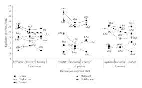 Image result for Phragmanthera capitata