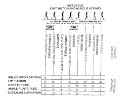 gait analysis study of human locomotion walking and running