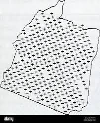 Image result for isolona