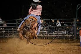 Wild Card Photography 新增了1 張相片。