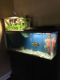 Can turtles live with fish? Awesome Fish Tank Ideas 33 Aquatic Turtle Habitat Turtle Habitat Turtle Tank