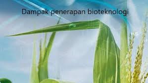 Pin Di Situs Ipa Mts