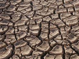 The effects of climate change span the physical environment, ecosystems and human societies. Effects Facts Climate Change Vital Signs Of The Planet