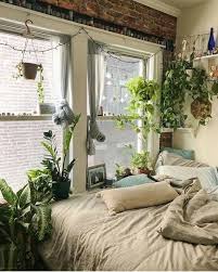 A Nature Person Room Apartment Decorating On A Budget Small Apartment Decorating Bedroom Inspirations