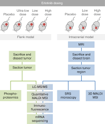 Setting new standards in performance, simplicity and value. Integrated Mapping Of Pharmacokinetics And Pharmacodynamics In A Patient Derived Xenograft Model Of Glioblastoma Nature Communications