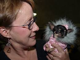 Lori Lomonaco's Instagram, Twitter & Facebook