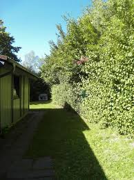 Was für kinder der spielplatz ist, ist für katzen der garten. Bildergalerie Von Ferienhaus Mau Wau Waldhessen