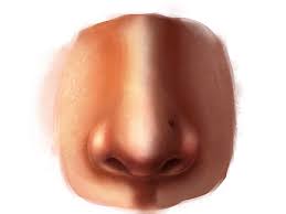 Having a drawing tablet is recommended. Learn How To Paint A Realistic Nose In Adobe Photoshop