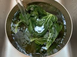 野菜ひとつ ふきの葉みそ 週末の作り置きレシピ