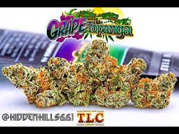 The smoke might provoke a short coughing fit, but the resulting high is usually so intoxicating that you'll easily forget the. Jungle Boys Grape Topanga Buy Jungle Boys Grape Topanga Online