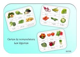 Ma Petite Maternelle Montessori Nomenclature Maternelle