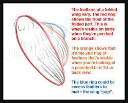 So i tried to explain and show how hahasorry if it's s. How To Draw A Wing Step By Step Drawing Guide By Dawn Dragoart Com