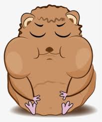 Hamster meme free png stock. Hamster 03 Hamster Cartoon Png Transparent Png 578x600 Free Download On Nicepng