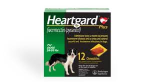 That's why it's important to keep your dog on a monthly heartworm. Protect Your Dog With Heartgard The 1 Choice Of Vets