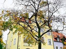 30 m² große wohnung befindet sich in einem anbau eines einfamilienhauses und ist direkt. Mieten Zellingen 4 Wohnungen Zur Miete In Zellingen Mitula Immobilien