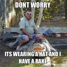 Oh Good Everything Is Just Fine Nothing To See Here Funny Pictures Funny Jokes Funny Animal Pictures