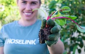 15 Edible Plants to Grow