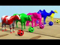 learn colors learn animals kids حيوانات للاطفال ملونة youtube learning colors colorful animals animals