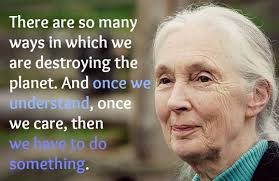 These Amazing Jane Goodall Quotes Will Inspire You To Fight For Animals And Nature Jane Goodall Quotes Jane Goodall Nature Quotes