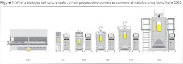 Examine culture for contamination, remove medium, rinse with pbs to remove serum, add trypsin, incubate at 37°c, add culture medium containing serum, centrifuge cells, pour away. Current Challenges With Upstream Cell Culture Bioreactor Scale Up For Biologics Manufacturing
