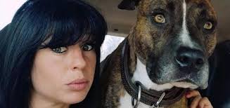 Se il tuo cane fa sempre resistenza alla posizione seduta, dovresti provare a spostarti su una superficie più comoda per lui. Donna Incinta Sbranata In Francia Il Compagno Salvate Il Cane Curtis Non E Stato Lui La Stampa