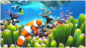 Aquariums or aquaria) is a vivarium of any size having at least one transparent side in which. Clownfish Aquarium Live Wallpaper Download