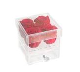 Acrylic 5 Preserved Rose Box