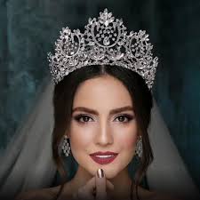 Gorgeous Style Crystal Bridal Tiara in Silver "Christina"