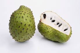 Each of these cauliflorous fruit may attain over a foot (30 cm.) in length and, when ripe, the soft pulp is used in ice creams and sherbets. Soursop Benefits Can Graviola Fruit Help Fight Cancer