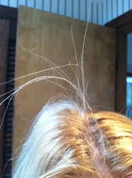 John frieda sheer blonde shampoo on blonde, dark blonde and light brown hair before & after review. John Frieda Go Blonder Lightening Spray Reviews Makeupalley