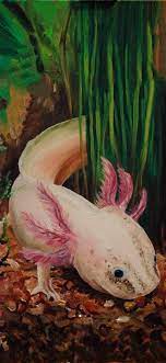 Pin De Daddy B Em Animals Animais Vertebrados Anfibios Animais