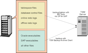 Ibm Tivoli Data Protection For Sap For Oracle Is Integrated With The Database Specific Utilities Of Oracle Rman And Sap Brtools To Pro Online Backup Sap Ibm