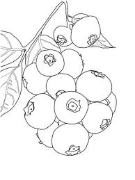 Blueberry Bush Coloring Page From Blueberry Category Select From 26278 Printable Crafts Of Ca Coloring Pages Free Coloring Pages Free Printable Coloring Pages