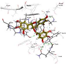 Image result for Melasma calycinum