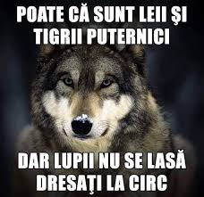 Tutorial video despre mesajele de pe facebook. Poze Cu Mesaje Poze Cu Mesaje E Con Pisi Mira E Altri 3 Facebook