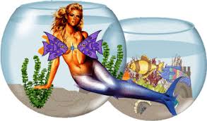 R&eacute;sultat de recherche d'images pour 