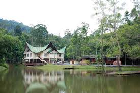This forest is estimated to be around 130 million years old. Outdoor Activities In Ulu Bendul Recreational Park Negeri Sembilan Malaysia Gokayu Your Travel Guide