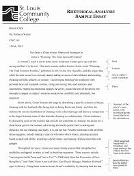 Summary Essay Example Unique Rhetorical Analysis Essay Example Best Tips Here Essay Examples Rhetorical Analysis Rhetorical Analysis Essay