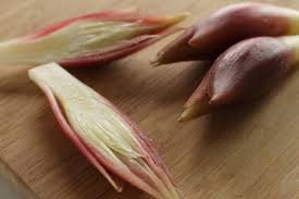 みょうが 茗荷 には物忘れの効能がある 栄養や花言葉 旬の季節は Horti ホルティ By Greensnap
