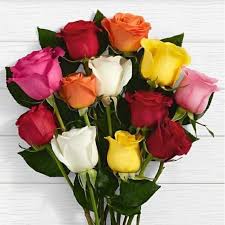 Find bulk supply of artificial dahlia bushes, roses, wild flowers & metallic leaves and order online from a leading united states distributor. Dozen Roses Cheapest Roses Toronto Bulk Flowers